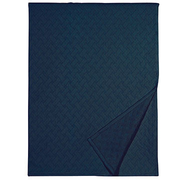 Briseyda Indigo Throw