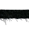 Raven Black Border Trim