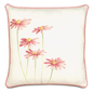 Eli White Hp Daisies
