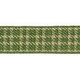 Ribbon Maccallum B (Green)