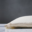 Juliet Lace Pillowcase in Ivory/Ivory