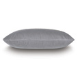 Safford Chevron Border Decorative Pillow In Gray