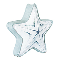 Bimini Starfish Decorative Pillow