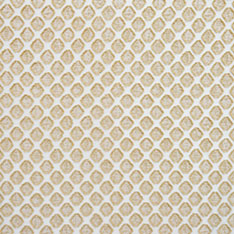 TERRANOVA GOLD