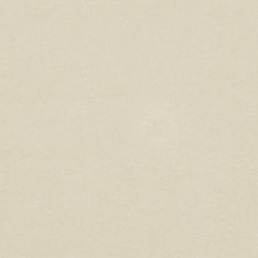 INDUS IVORY LINING SWATCH 3X3