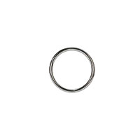 O-Ring Silver