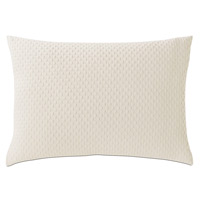 Tegan Matelasse Standard Sham In Ivory