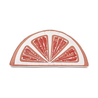 Palencia Handpainted Citrus Decorative Pillow in Melon