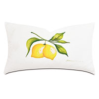 Meyer Handpainted Decorative Pillow