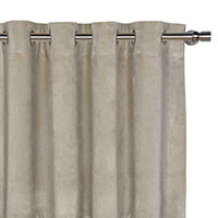 Nellis Dove Curtain Panel