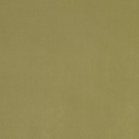 Freda Chartreuse