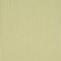 Avox Lime