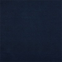 Allen Navy