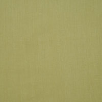 Breeze Palm