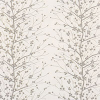 Habersham Birch