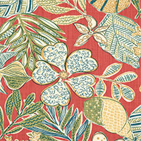Suwanee Coral