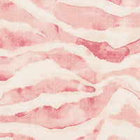 Asa Blush