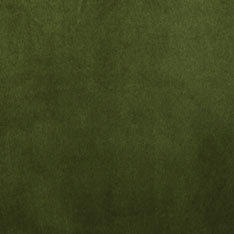 BRAHMS FERN