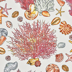 TAMARAMA CORAL