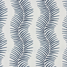 DRACAENA INDIGO