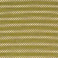 Dottie Celery RR