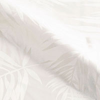 Isola White