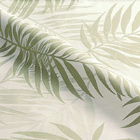 Isola Aloe