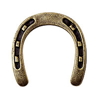 Horseshoe Stud Bronze