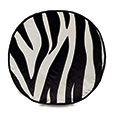 Tenenbaum Zebra Tambourine Decorative Pillow