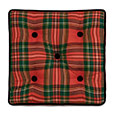 Tenenbaum Plaid Boxed Decorative Pillow