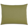 Briseyda Palm Standard Sham
