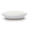 Yearling Pearl Standard Sham
