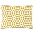 Lattice Gold Standard Sham