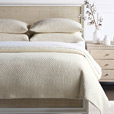 Tegan Matelasse Standard Sham In Ivory