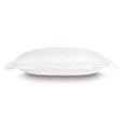 Fresco Sateen Standard Sham in White