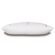 Breeze Shell Hp Lumbar