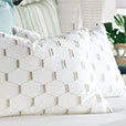 Filmore Embroidered Standard Sham In Ivory